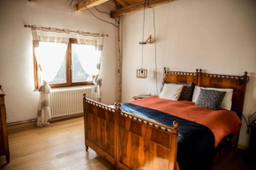 Double bedroom, kitchen, bathroom in organic farm Belluno
